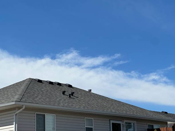 Professional Roof Repair & Installaion in Mount Vernon, MO